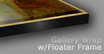 Gallery Wrap w/Floater Frame